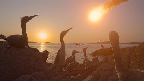 The Dinosaurs Season 1 Episode 4 - Fall