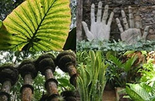 Around the World in 80 Gardens Season 1 Episode 1 - Mexico and Cuba