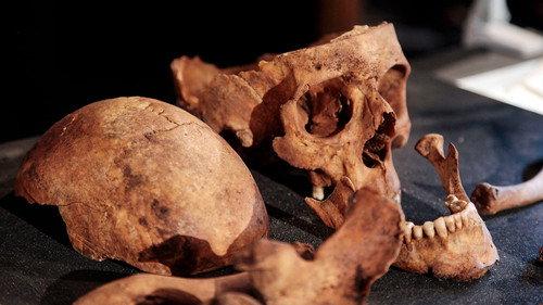 Digging for Britain Season 6 Episode 1 - West