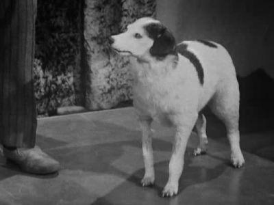 Do Not Adjust Your Set Season 1 Episode 13 - Rediffusion Show 13