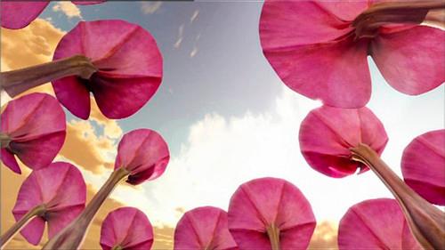 Julia Season 2 Episode 2 - The Wheel Deal