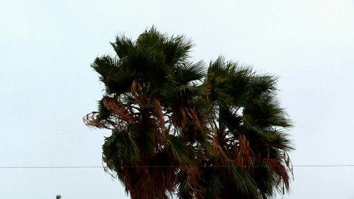 Storage Wars Season 14 Episode 7 - Reign or Shine