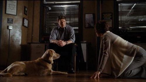 Castle Season 4 Episode 13 - An Embarrassment of Bitches