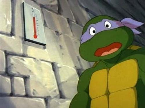 Teenage Mutant Ninja Turtles Season 6 Episode 8 - Too Hot to Handle