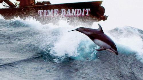 Deadliest Catch Season 20 Episode 6 - The Purpose of Porpoises