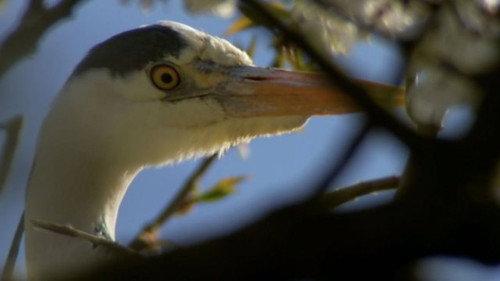 Countryfile Season 34 Episode 13 - Greensand Ridge