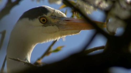 Countryfile Season 34 Episode 13 - Greensand Ridge