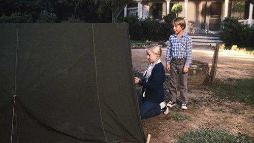 The Waltons Season 8 Episode 10 - The Silver Wings