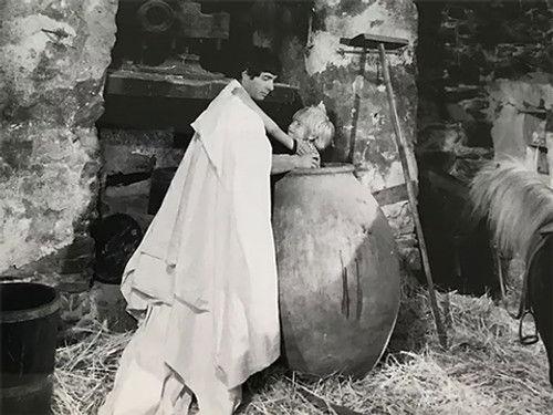 Poly Season 6 Episode 12 - Episode 12