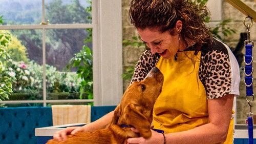 Pooch Perfect Season 1 Episode 7 - Episode 7