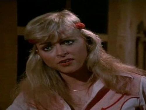 The Fall Guy Season 1 Episode 21 - The Silent Partner