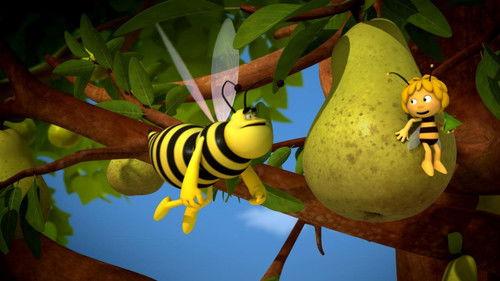 Maya the Bee Season 3 Episode 13 - Thank You Wasps