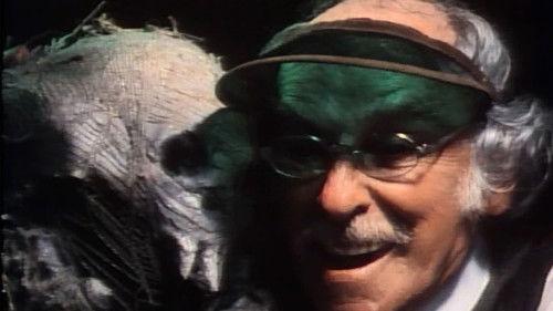 undefined Season 0 Episode 1 - Pilot: Trick or Treat