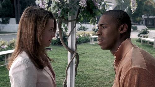 Desperate Housewives Season 2 Episode 13 - There's Something About a War
