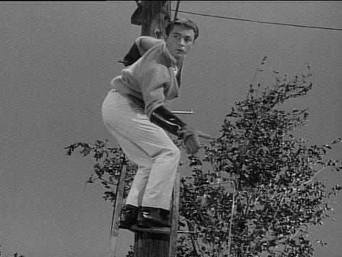 My Favorite Martian Season 2 Episode 5 - Dial M for Martin