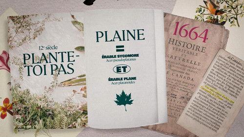 Dis-moi pas!? La petite histoire des mots d'ici Season 1 Episode 5 - Episode 5