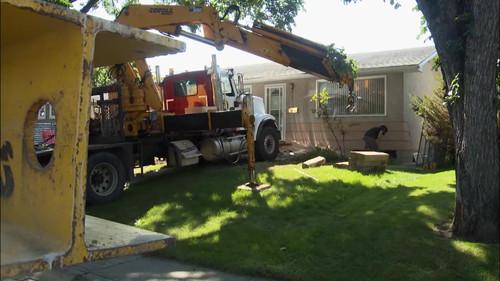 Cabin Truckers Season 1 Episode 9 - Dinasaurs. Kids. Too Many Trees!