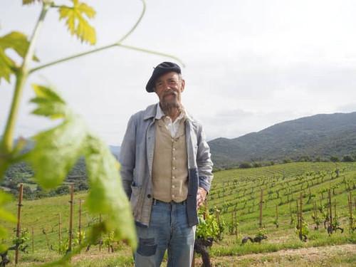 Gort over de grens Season 7 Episode 6 - Episode 6