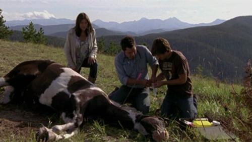 Heartland Season 3 Episode 9 - Broken Arrow