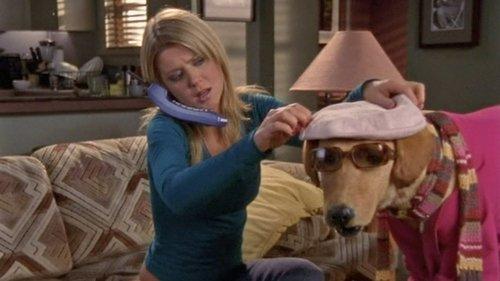 Scrubs Season 3 Episode 11 - My Clean Break