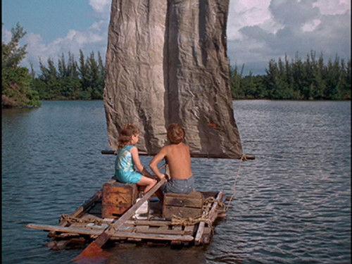 Flipper Season 1 Episode 27 - Bud Minds Baby