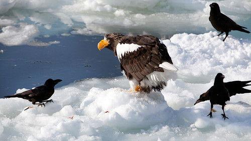 mare TV Season 18 Episode 1 - Episode 1