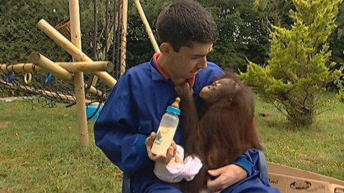 Monkey Business Season 8 Episode 5 - Episode 5