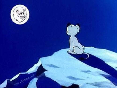 Kimba the White Lion Season 1 Episode 22 - Dangerous Journey