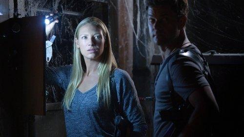 Fringe Season 5 Episode 2 - In Absentia