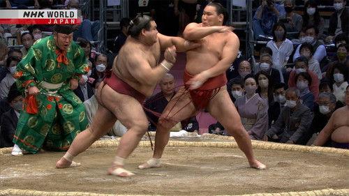 GRAND SUMO Highlights Season 14 Episode 4 - Day 4