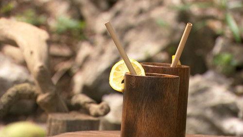 Robinson Season 25 Episode 12 - Episode 12