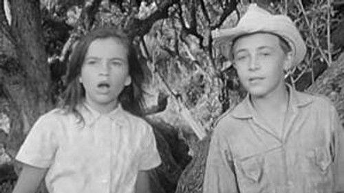 Poly Season 3 Episode 9 - Episode 9