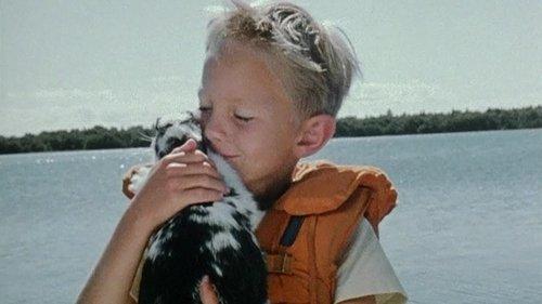 Life on Seacrow Island Season 1 Episode 9 - A small animal for Pelle