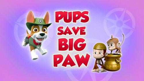 PAW Patrol Season 5 Episode 3 - Pups Save Big Paw