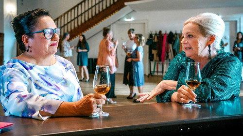 Vienna Crime Squad Season 19 Episode 11 - Episode 11