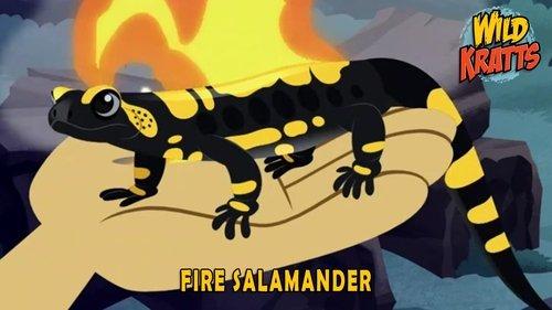 Wild Kratts Season 5 Episode 5 - Fire Salamander