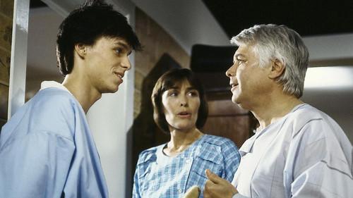 Ich heirate eine Familie Season 3 Episode 3 - Episode 3