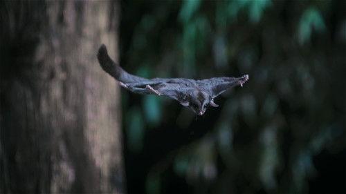 undefined Season 1 Episode 3 - Marsupials