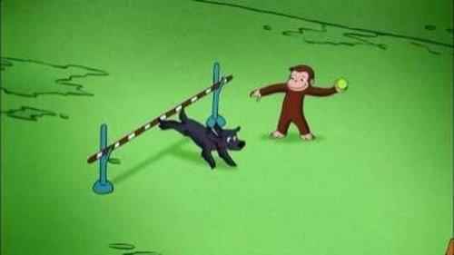 Curious George Season 4 Episode 12 - Charkie Goes to School