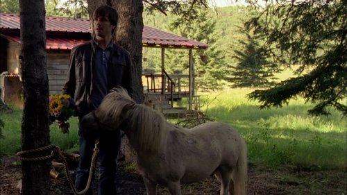 Heartland Season 5 Episode 8 - Nothing for Granted
