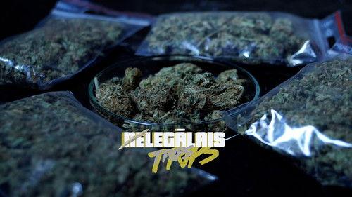 The Illegal Trip Season 1 Episode 4 - Episode 4