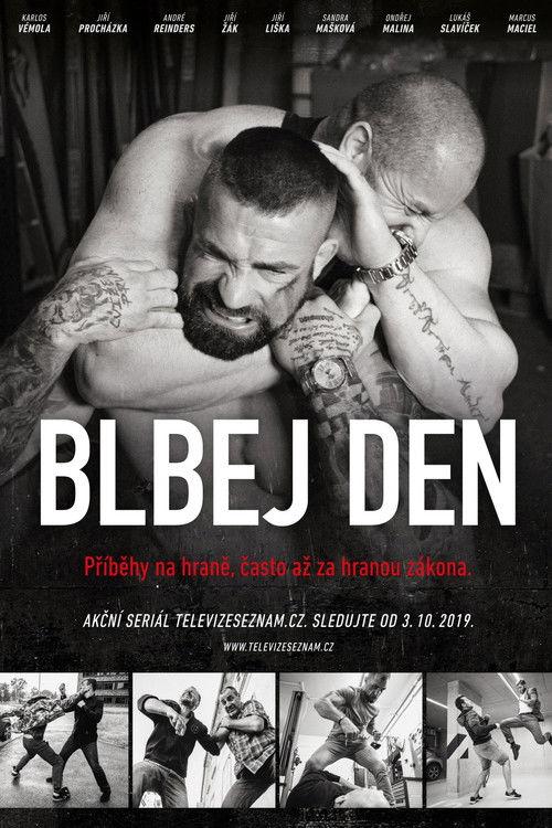 Blbej den poster