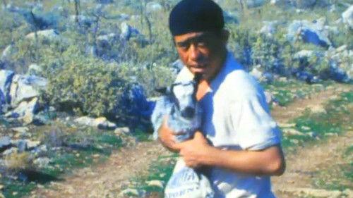 At the Campsite Season 1 Episode 1 - Episode 1