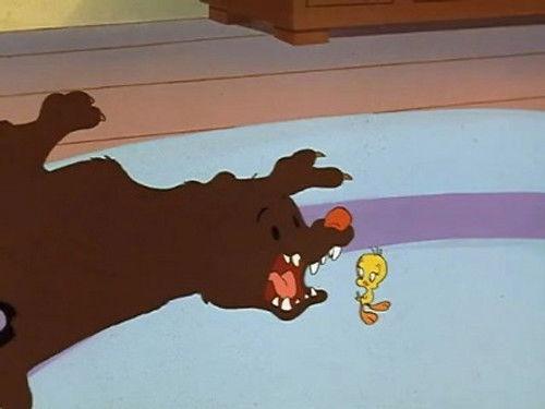 The Sylvester & Tweety Mysteries Season 1 Episode 13 - Go Fig