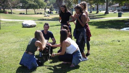 The Bachelor Season 22 Episode 3 - Week 3