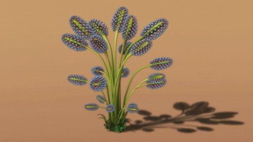 Dinosaur Train Season 1 Episode 42 - Family Scavenger Hunt