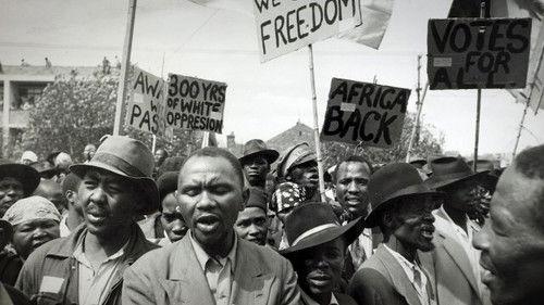 Explained Season 3 Episode 8 - Apologies