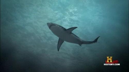 Jurassic Fight Club Season 1 Episode 7 - Deep Sea Killers