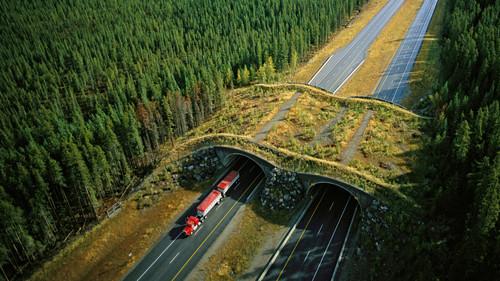 NOVA Season 43 Episode 20 - Wild Ways