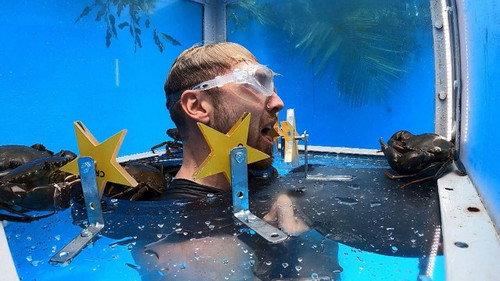 I'm a Celebrity...Get Me Out of Here! Season 23 Episode 8 - Fishy Business